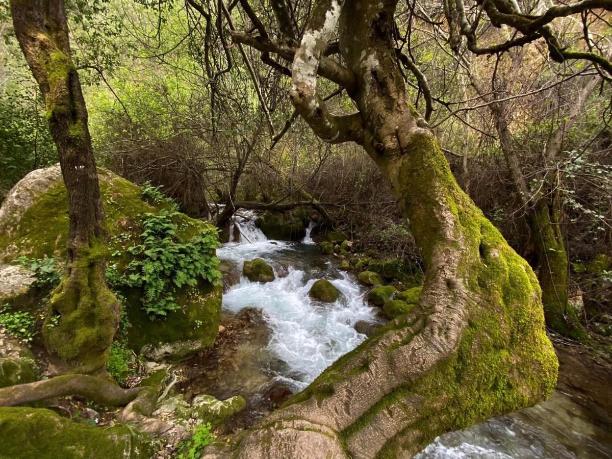 Dima Vivienda Turistica Villa El Bosque Dış mekan fotoğraf