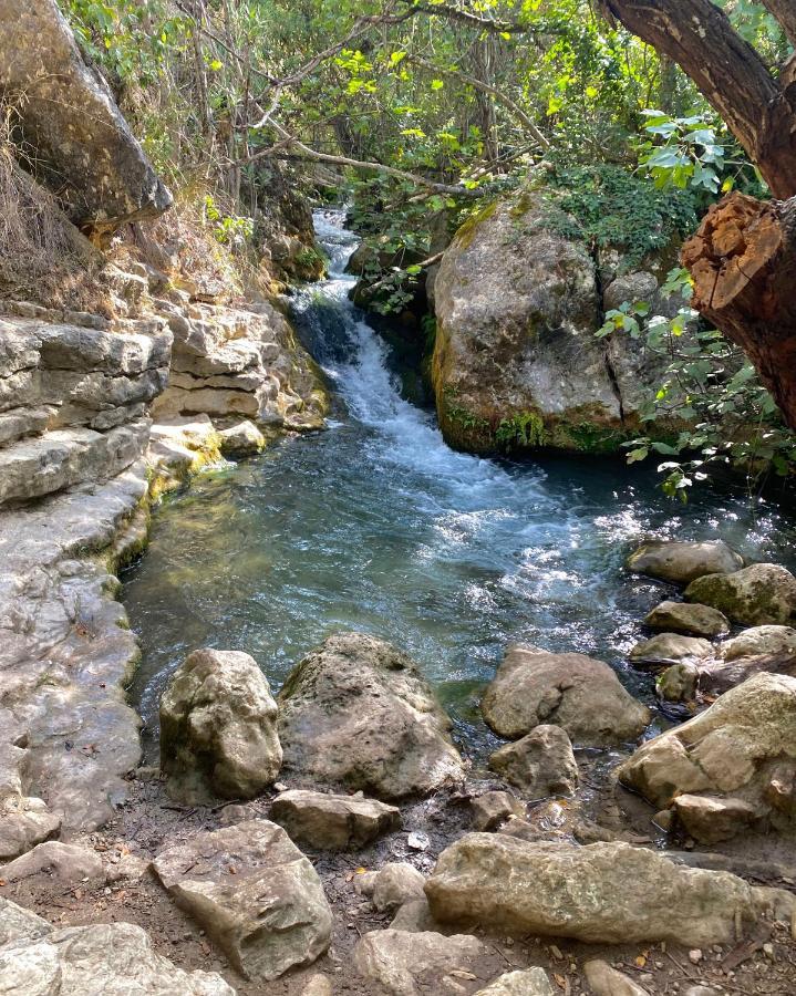 Dima Vivienda Turistica Villa El Bosque Dış mekan fotoğraf