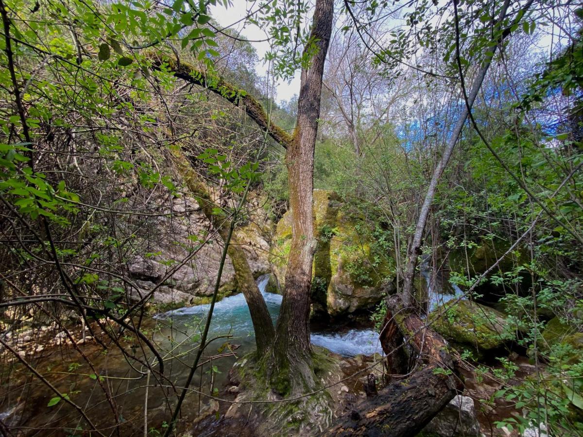 Dima Vivienda Turistica Villa El Bosque Dış mekan fotoğraf